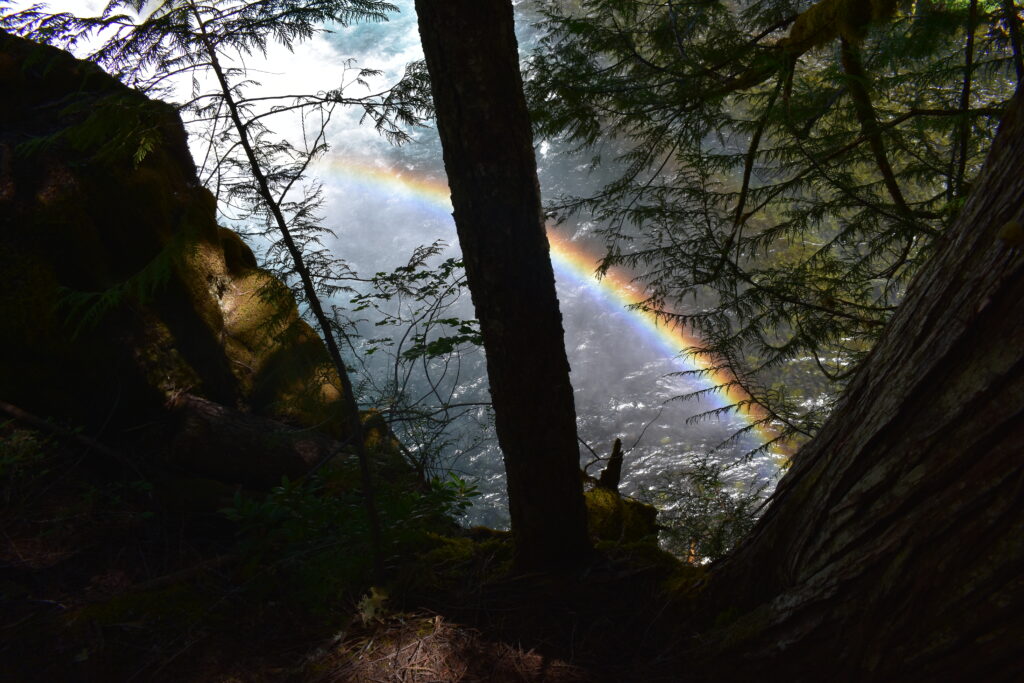 Rainbow at Koosah