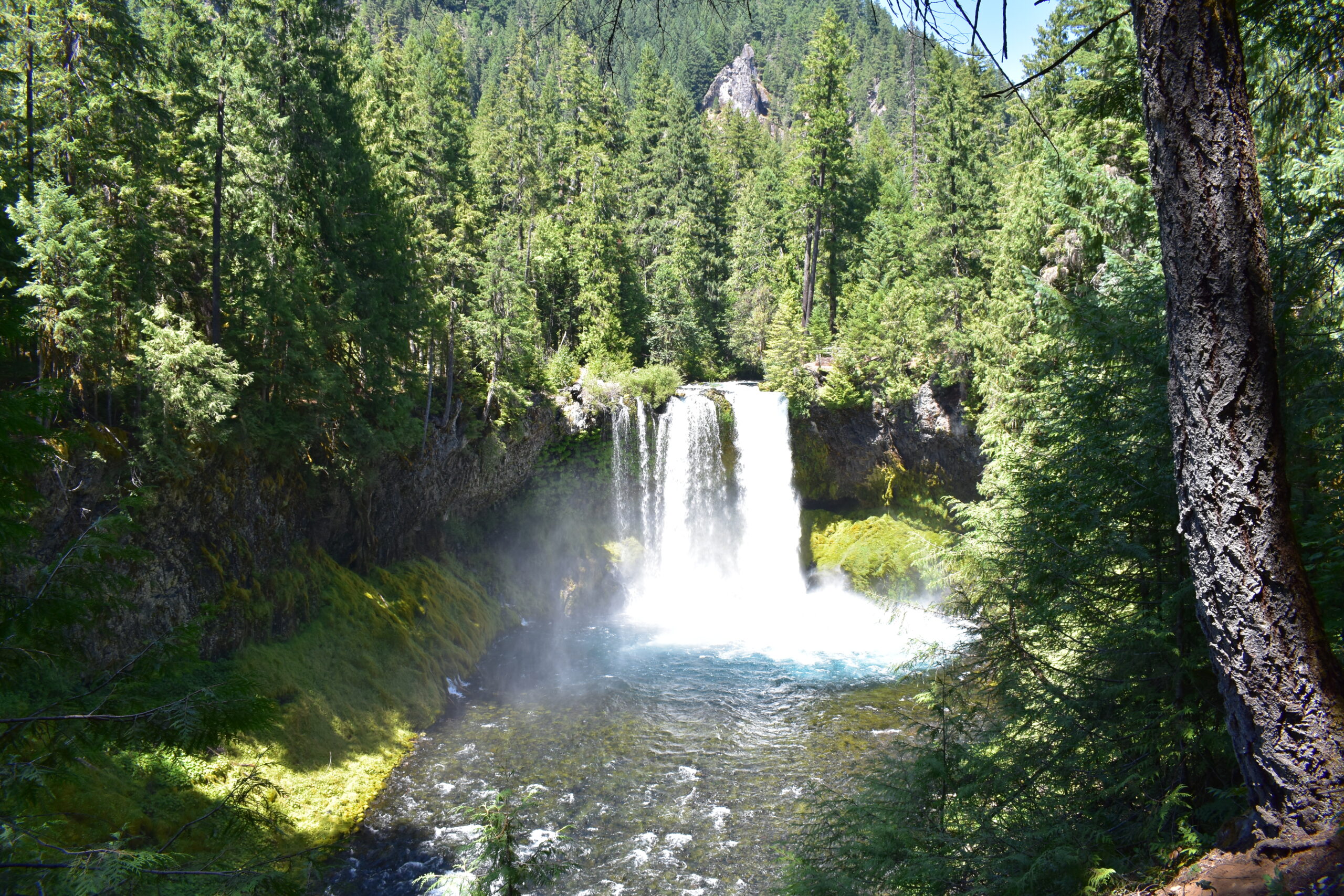 Koosah Falls Wide Angle